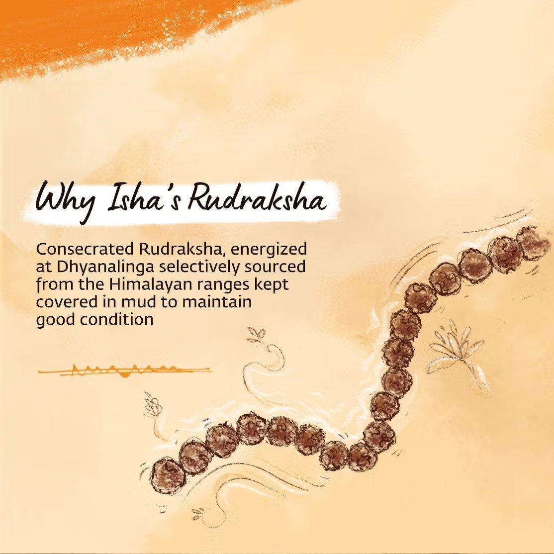 Panchamukhi Rudraksha Mala (Bead Size 5 mm) - Image 7