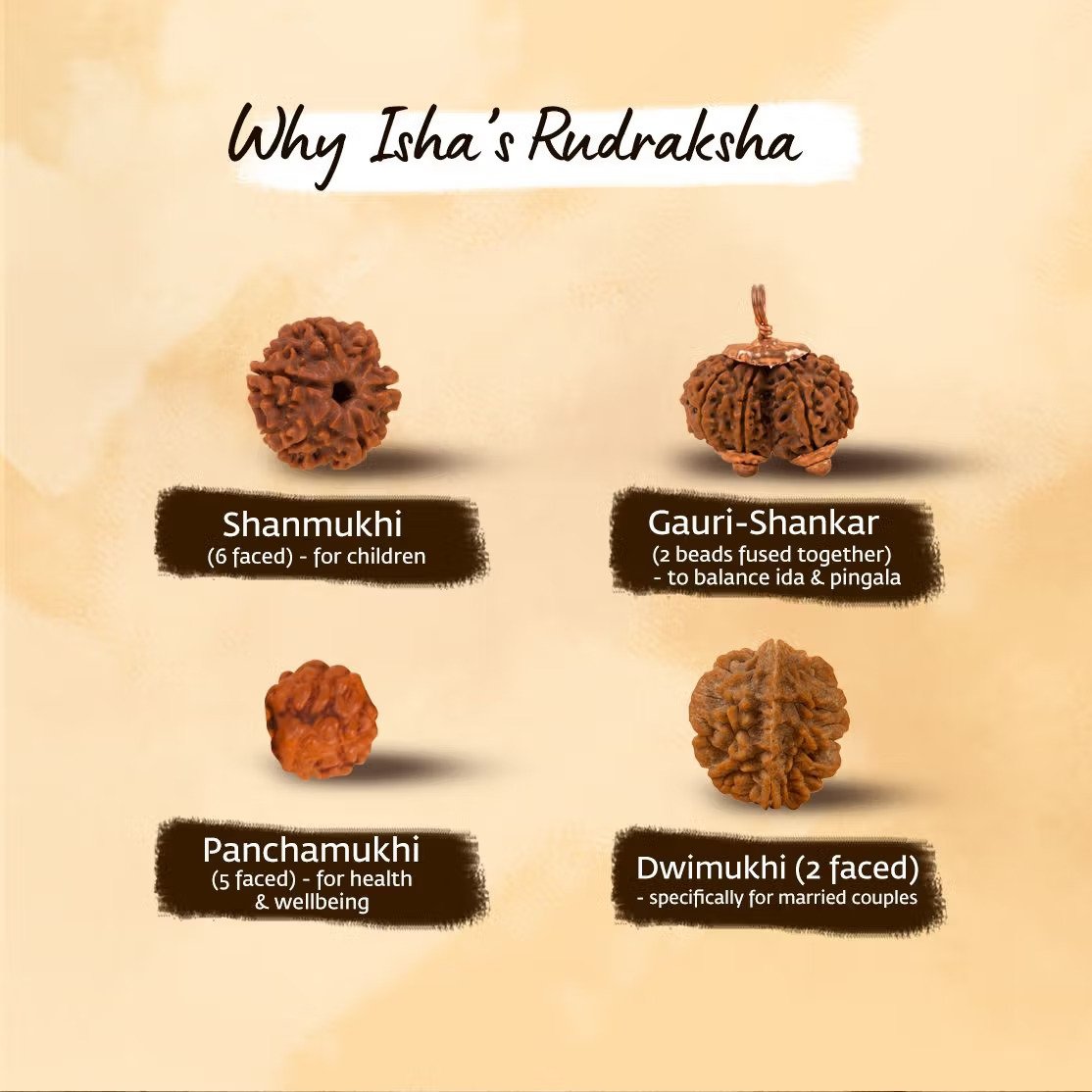Panchamukhi Rudraksha Mala (Bead Size 5 mm) - Image 8
