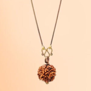 Adiyogi Rudraksha with copper chain (Panchamukhi)
