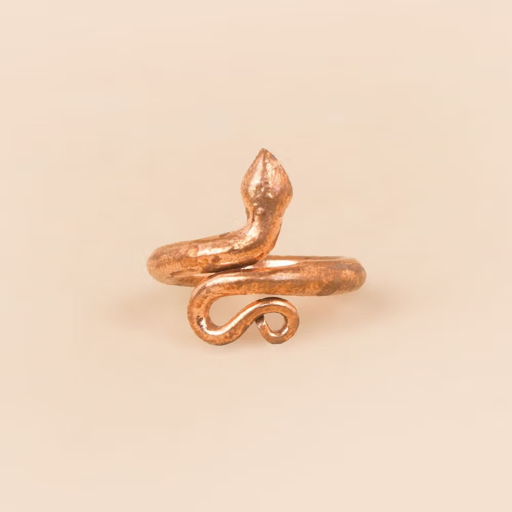 Sarpa Sutra, Consecrated Snake Ring