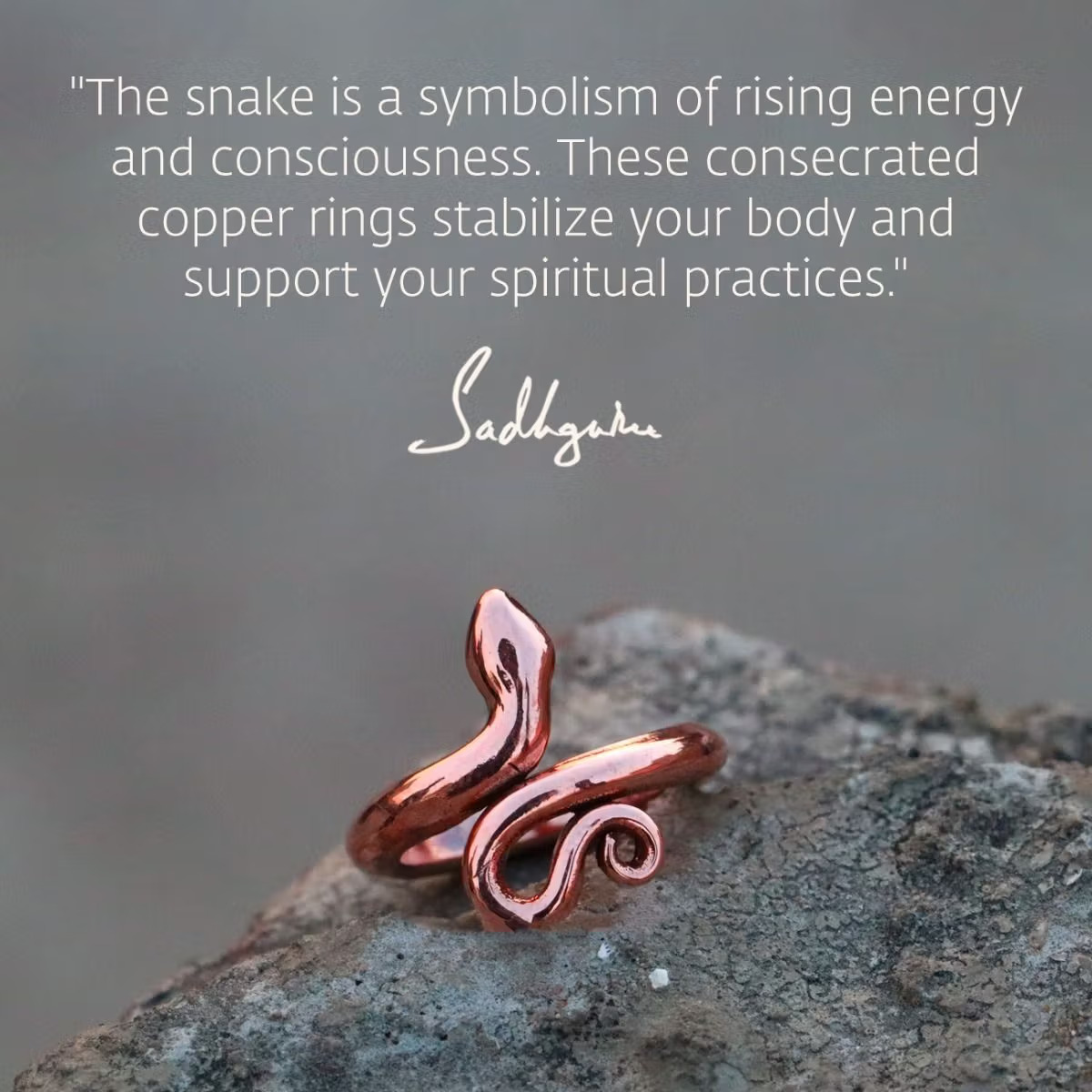 Sarpa Sutra, Consecrated Snake Ring - Image 5