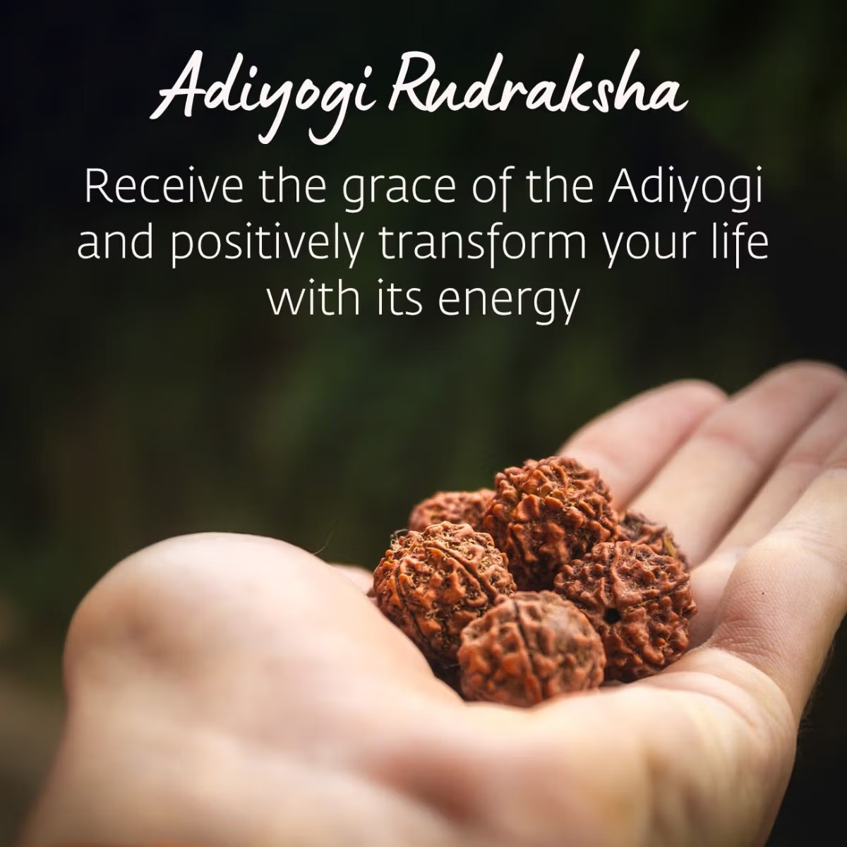 Adiyogi Rudraksha with copper chain (Panchamukhi) - Image 5