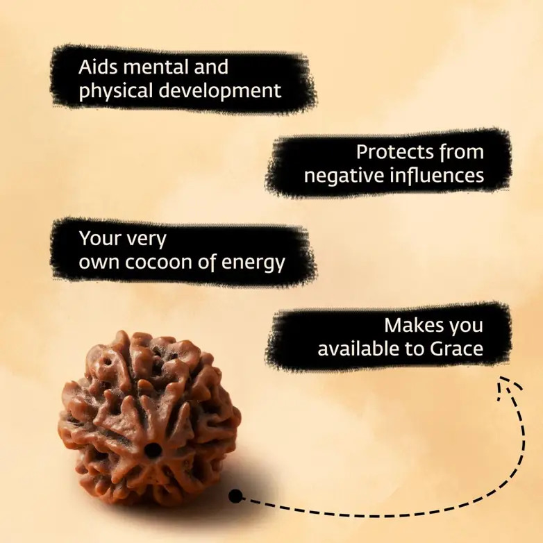 Shanmukhi Rudraksha Bead for Children (Six Faced) - Image 8