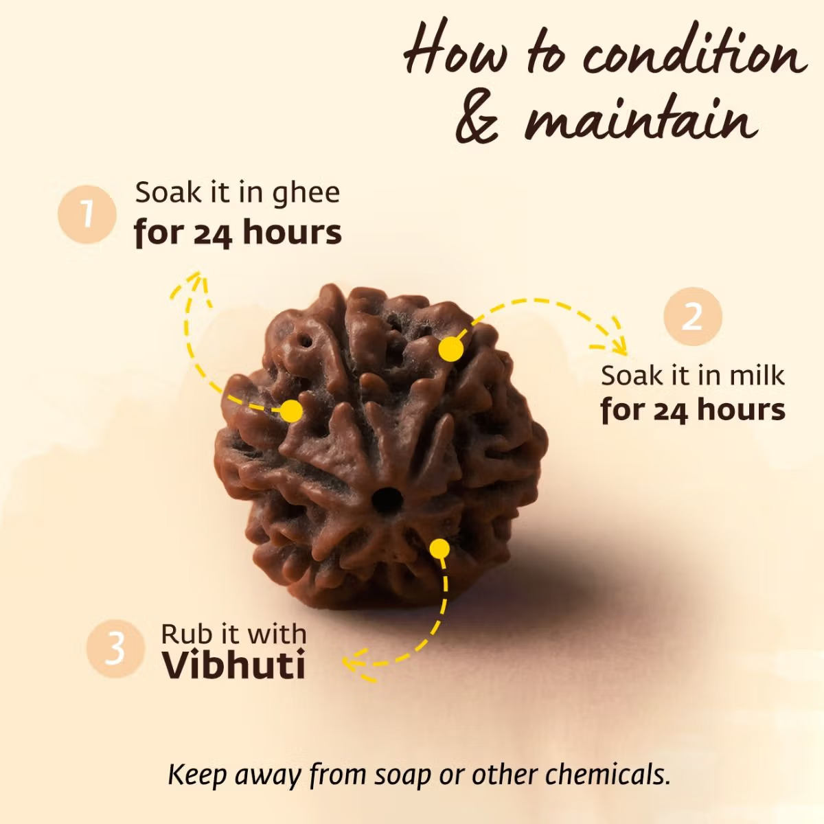 Adiyogi Rudraksha with copper chain (Panchamukhi) - Image 8