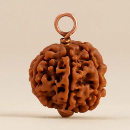 Shanmukhi Rudraksha Bead for Children (Six Faced)
