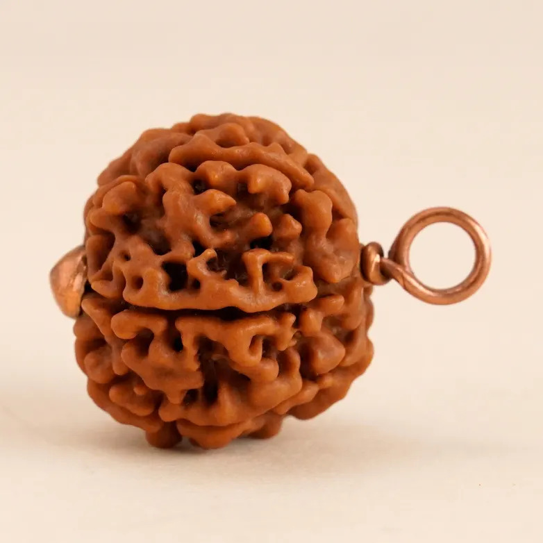 Shanmukhi Rudraksha Bead for Children (Six Faced) - Image 3
