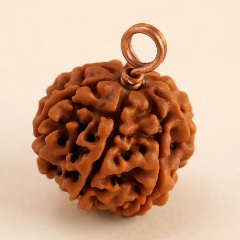 Shanmukhi Rudraksha Bead for Children (Six Faced) - Image 2