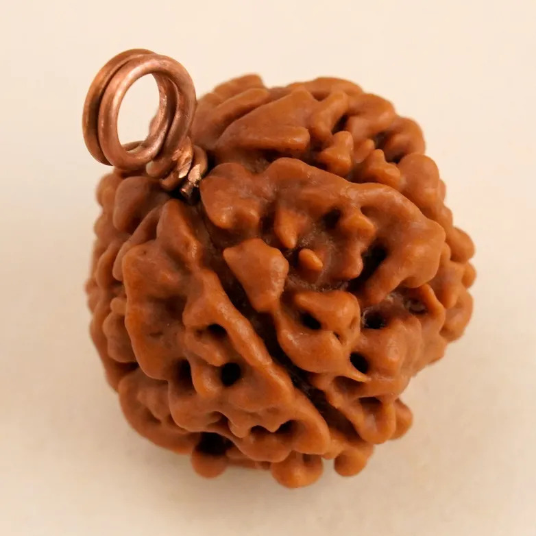 Shanmukhi Rudraksha Bead for Children (Six Faced) - Image 5