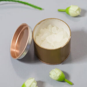 3 Month Bhuta Shuddhi Refill - Camphor
