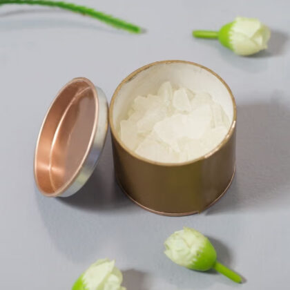 3 Month Bhuta Shuddhi Refill – Camphor