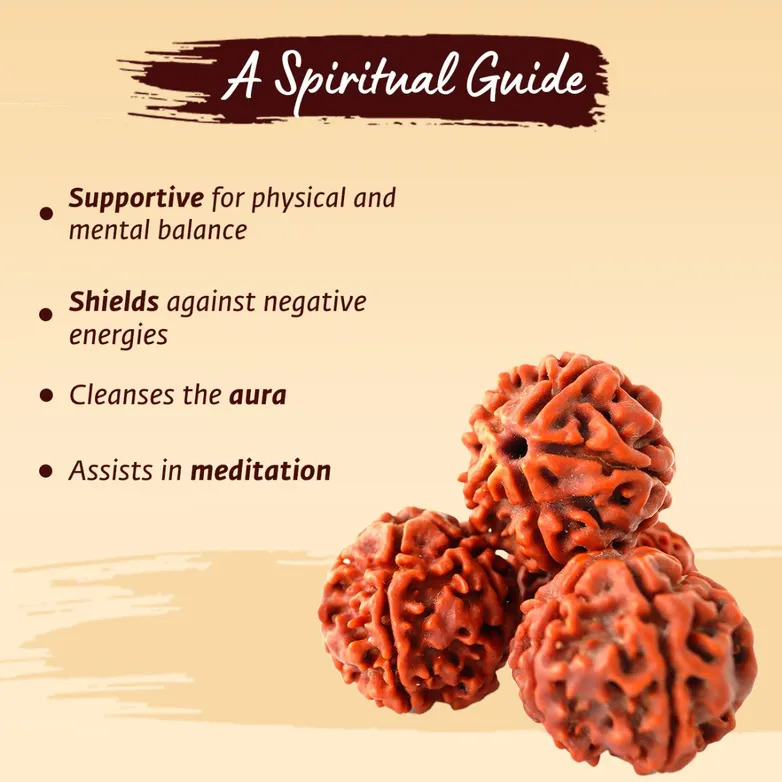 Adiyogi Rudraksha with long copper chain (Panchamukhi) - Image 10