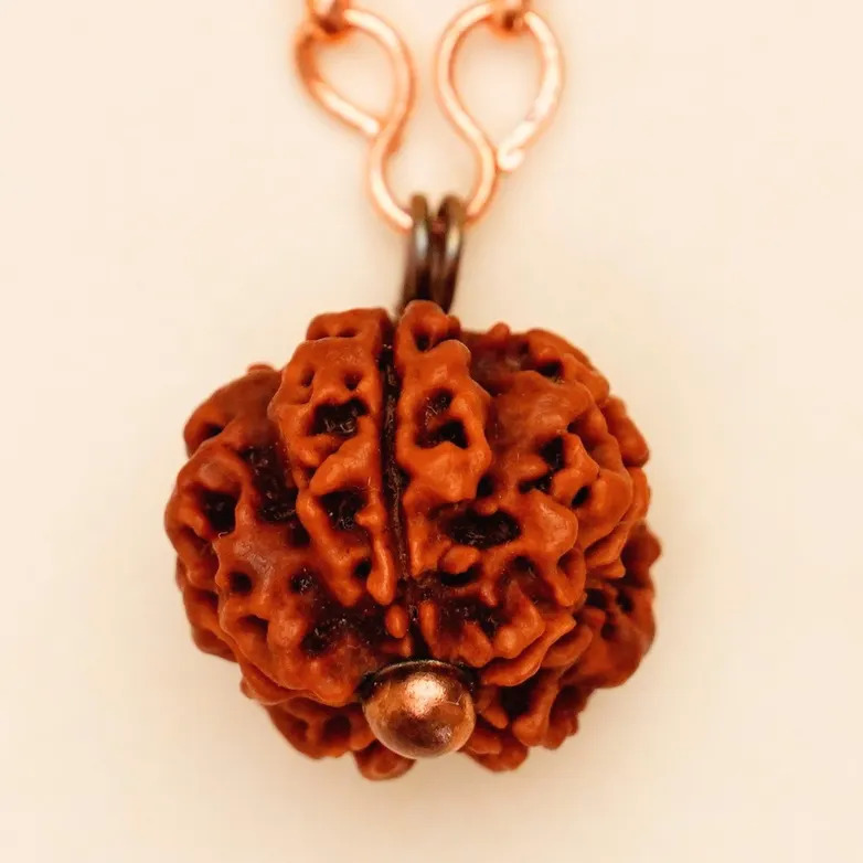 Adiyogi Rudraksha with long copper chain (Panchamukhi) - Image 5